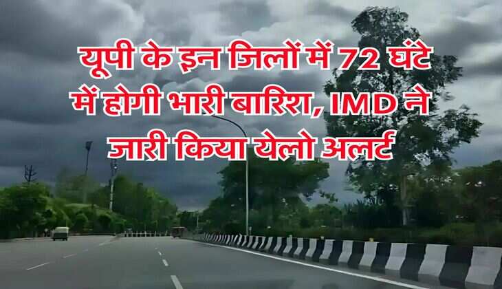 vegetable price hike : बारिश ने बिगाड़ा रसोई का बजट, इन सब्जियों के दाम 15 दिन में हुए दौगुने