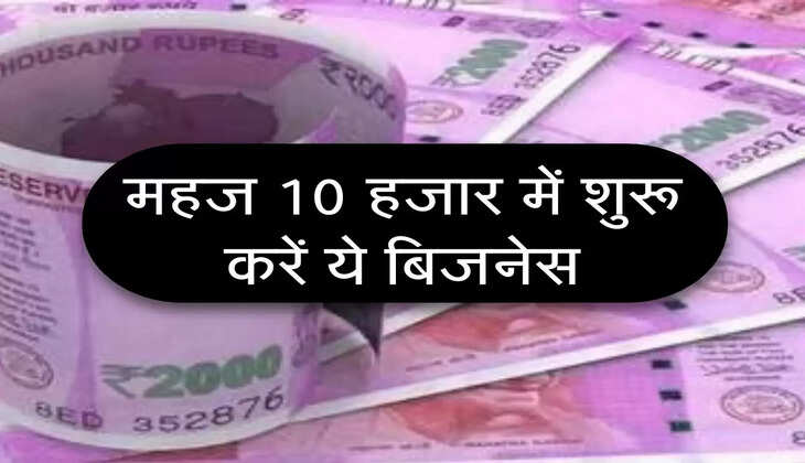 Business Idea : महज 10 हजार में शुरू करें ये बिजनेस, लाखों की होगी कमाई