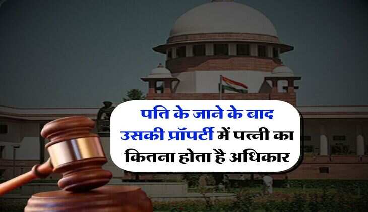पति के जाने के बाद उसकी प्रॉपर्टी में पत्नी का कितना होता है अधिकार, Delhi High Court का बड़ा फैसला 