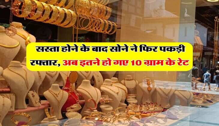 Gold Rate : सस्ता होने के बाद सोने ने फिर पकड़ी रफ्तार, अब इतने हो गए 10 ग्राम के रेट