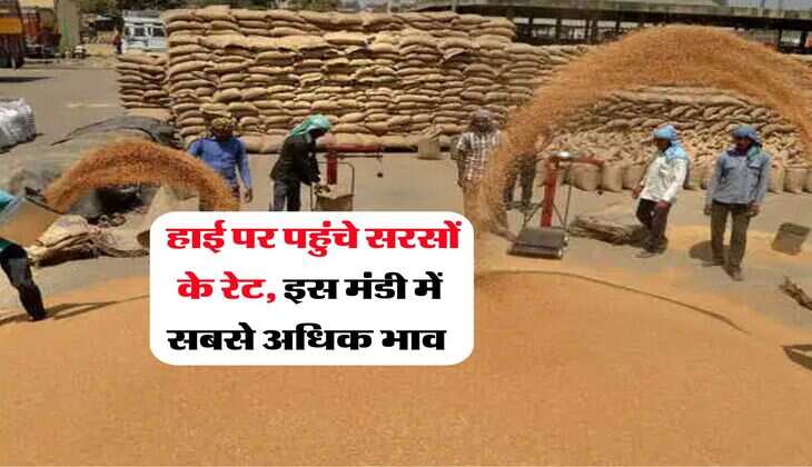 Gehu Ka Bhav : गेहूं में जबरदस्त तेजी, अब इतने हो गए क्विंटल के रेट 