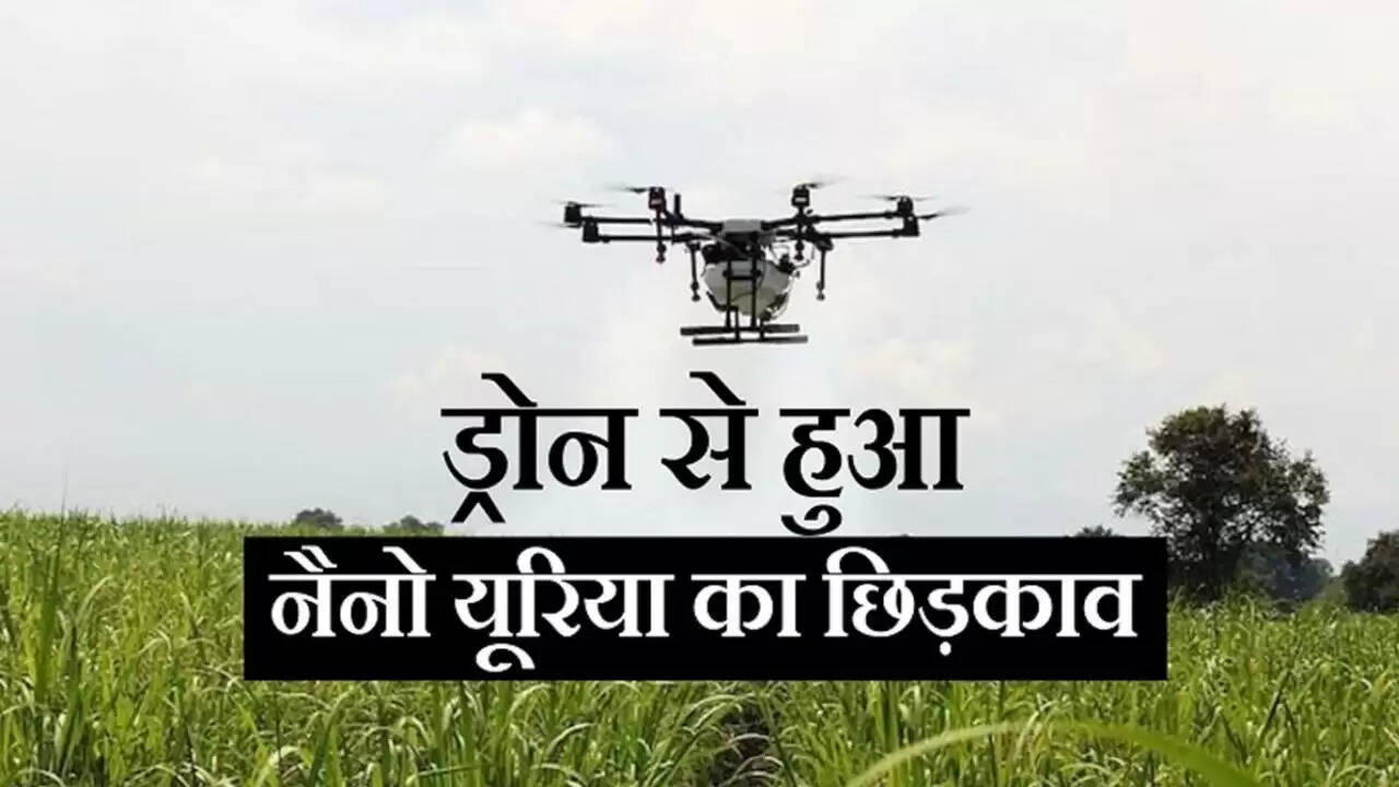 How to spray fertilizers and pesticides on sugarcane crop with drone, know