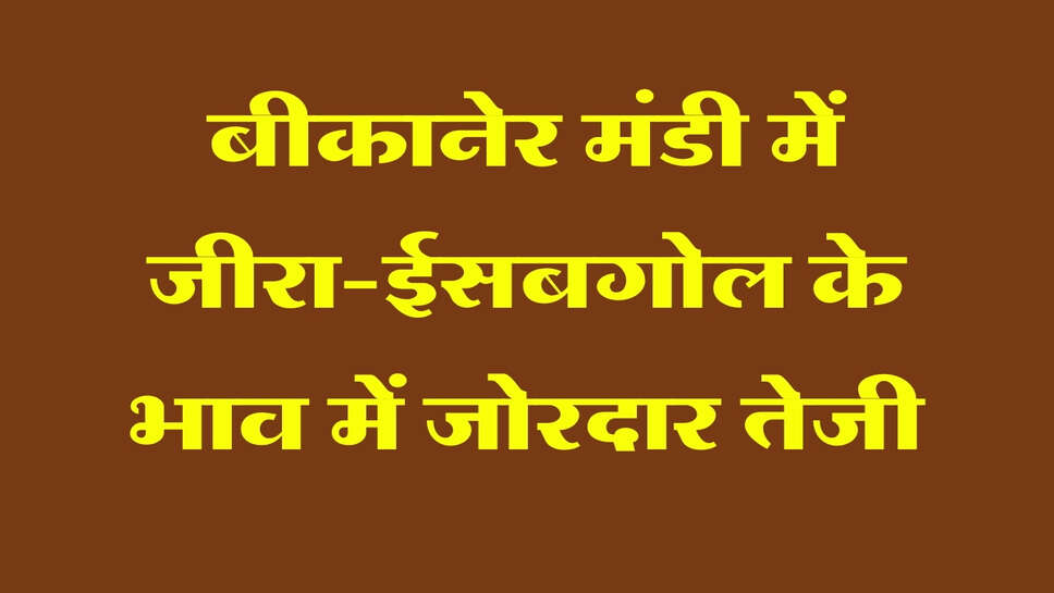 बीकानेर मंडी में जीरा-ईसबगोल के भाव में जोरदार तेजी, मूंगफली में नरमी, जानें भाव