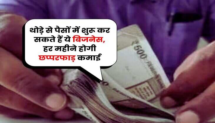Business Idea : थोड़े से पैसों में शुरू कर सकते हैं ये बिजनेस, हर महीने होगी छप्परफाड़ कमाई