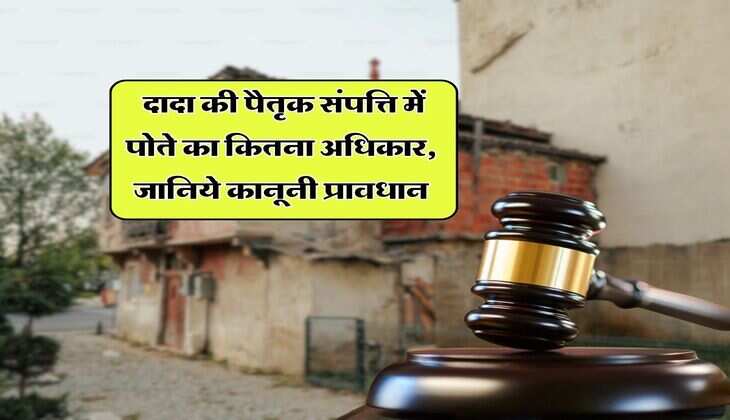 Property rights : दादा की पैतृक संपत्ति में पोते का कितना अधिकार, जानिये कानूनी प्रावधान