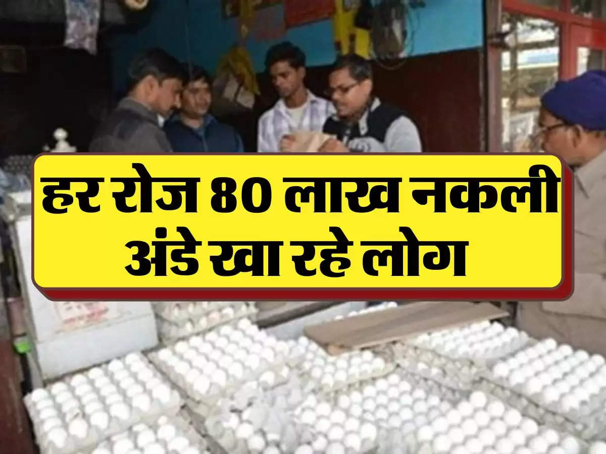 Fake Egg: हर रोज 80 लाख नकली अंडे खा रहे लोग, ऐसे होती है नकली असली की पहचान 