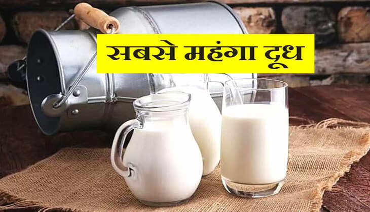 Most Expensive Milk: &nbsp;ये है दूनिया का सबसे महंगा दूध, 13 हजार रुपये लीटर है कीमत