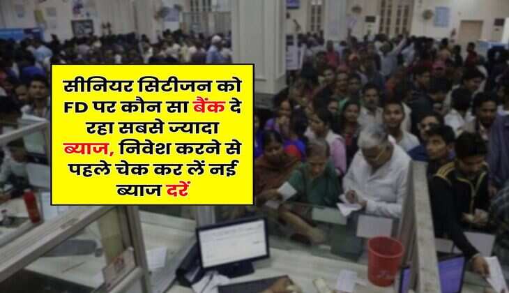 Fixed Deposit Rates : सीनियर सिटीजन को FD पर कौन सा बैंक दे रहा सबसे ज्यादा ब्याज, निवेश करने से पहले चेक कर लें नई ब्याज दरें