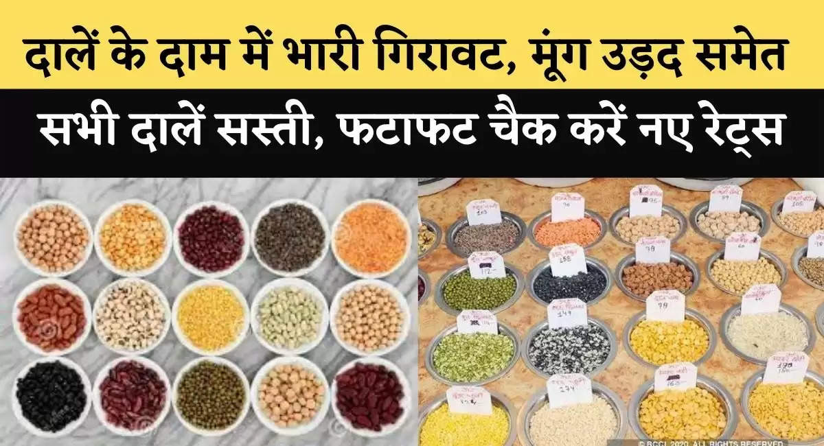 Pulses Price Today