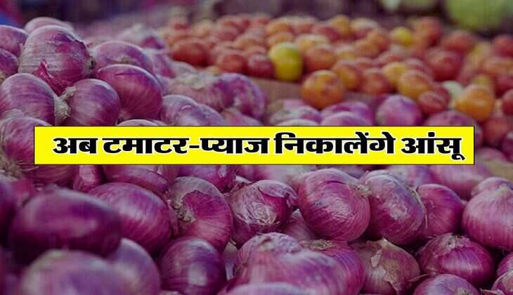 Tomato Price Today : अब टमाटर-प्याज निकालेंगे आंसू, सातवें आसमान में पहुंचे भाव, चेक करें आज के मंडी रेट