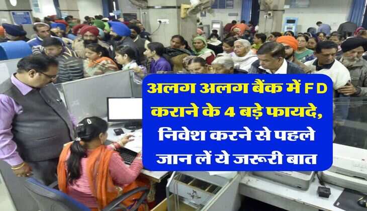 अलग अलग बैंक में FD कराने के 4 बड़े फायदे, निवेश करने से पहले जान लें ये जरूरी बात