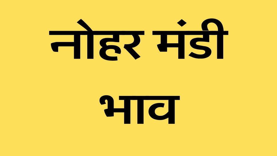 नोहर मंडी भाव 30 अक्टूबर 2026: सरसों तेज, ग्वार-मूंगफली और अरंडी मंदी