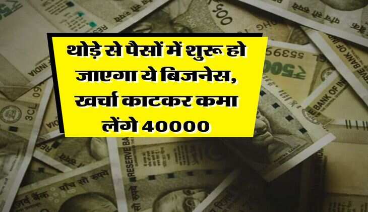 Business Idea : थोड़े से पैसों में शुरू हो जाएगा ये बिजनेस, खर्चा काटकर कमा लेंगे 40000