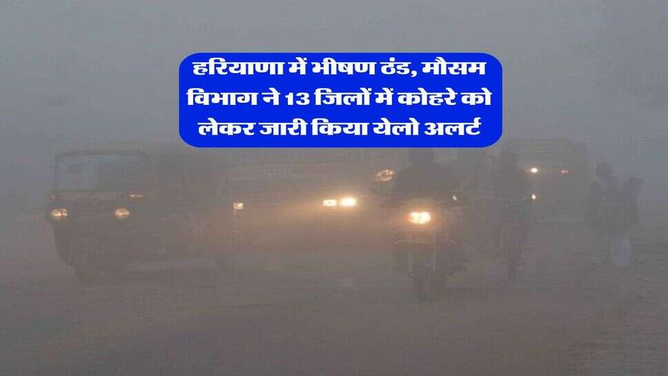 Haryana Mausam : हरियाणा में भीषण ठंड, मौसम विभाग ने 13 जिलों में कोहरे को लेकर जारी किया येलो अलर्ट