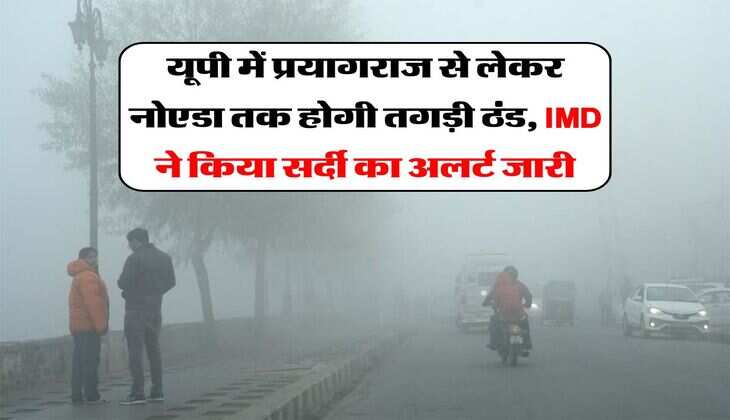 UP Weather Update : यूपी में प्रयागराज से लेकर नोएडा तक होगी कंपकपाती ठंड, IMD ने किया सर्दी का अलर्ट जारी