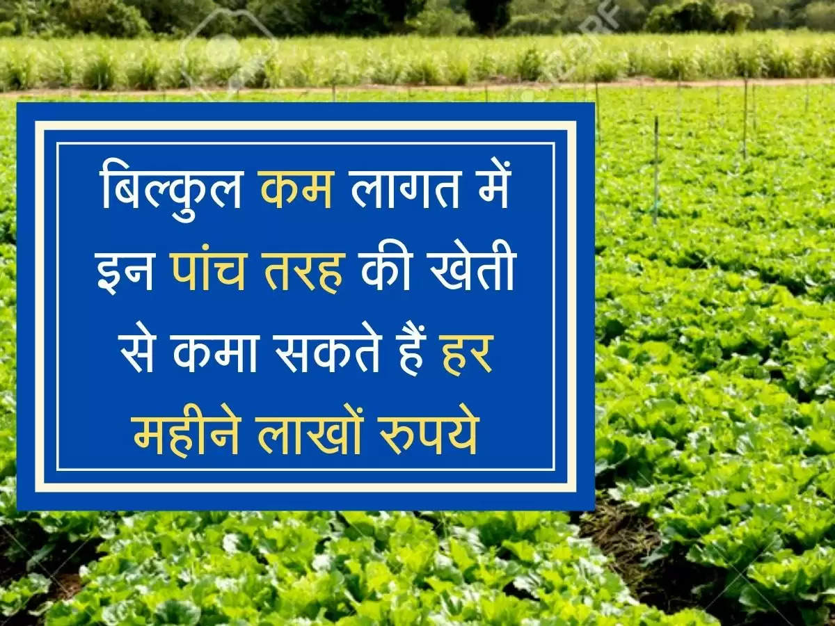 बिल्कुल कम लागत में इन पांच तरह की खेती से कमा सकते हैं हर महीने लाखों रुपये