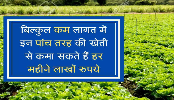 बिल्कुल कम लागत में इन पांच तरह की खेती से कमा सकते हैं हर महीने लाखों रुपये