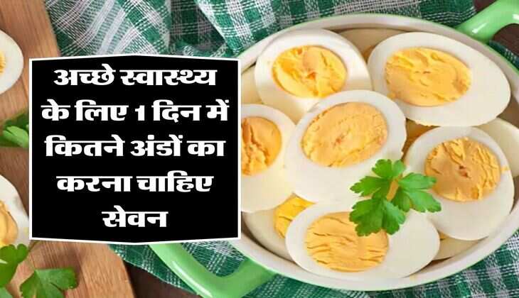 egg benefits: अच्छे स्वास्थ्य के लिए 1 दिन में कितने अंडों का करना चाहिए सेवन, अधिकतर लोग है अनजान