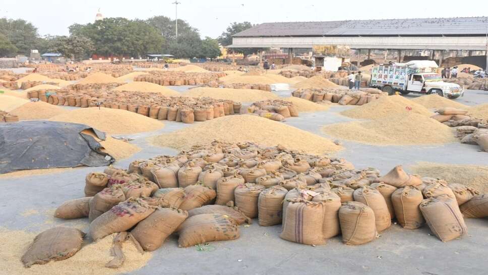 Kota Mandi Bhav 18 September 2026: गेहूं 20 और धनिया 200 रुपए मंदा, चना 50 रुपए तेज