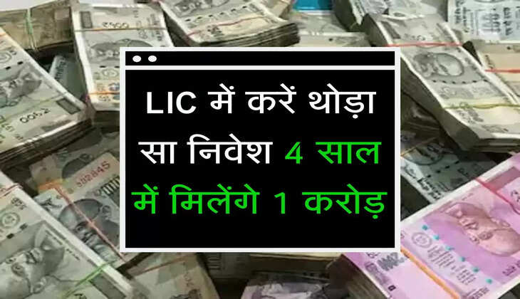 LIC में करें थोड़ा सा निवेश 4 साल में मिलेंगे 1 करोड़ 