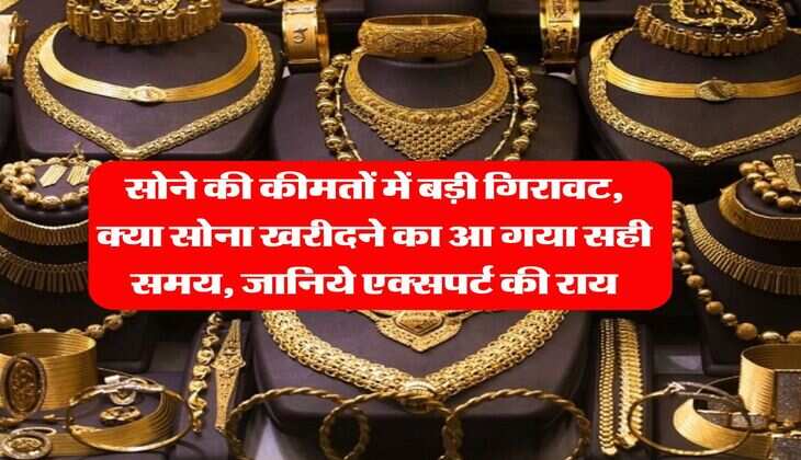 MCX Gold Rate : सोने की कीमतों में बड़ी गिरावट, क्या सोना खरीदने का आ गया सही समय, जानिये एक्सपर्ट की राय