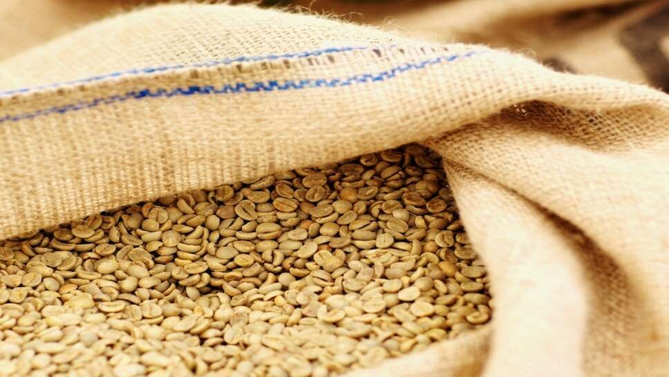 NCDEX और MCX भाव 26 अक्टूबर 2026: ग्वार गम और जीरे में गिरावट, सोना-चांदी में तेजी