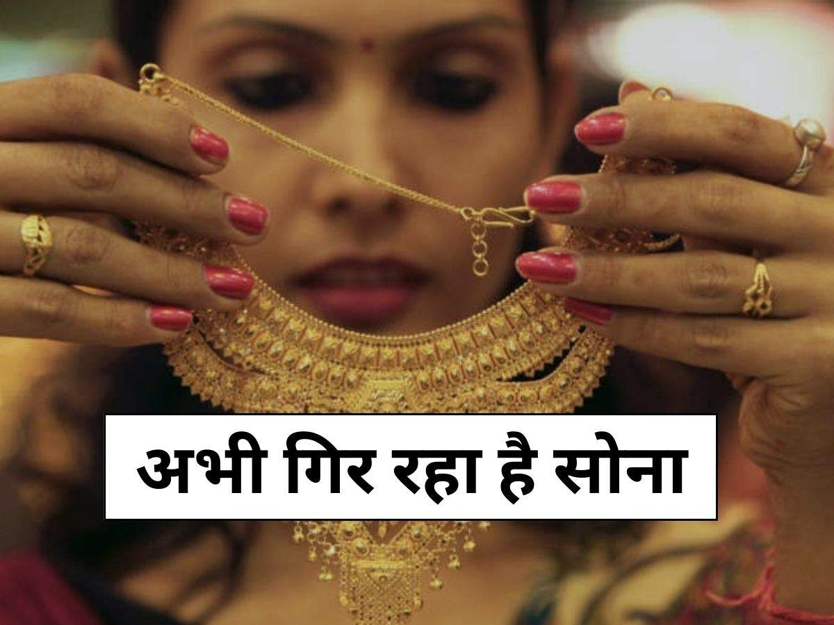 Gold Price Today :  अभी गिर रहा है सोना, दीवाली तक पहुंच जाएगा सातवें आसमान, चेक करें 22 और 24 कैरेट के रेट