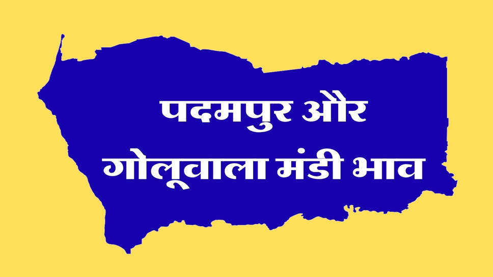 पदमपुर और गोलूवाला मंडी भाव: कपास, नरमा, ग्वार, सरसों, मूंग और गेहूं के भाव