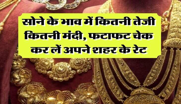 Gold Rate : सोने के भाव में कितनी तेजी कितनी मंदी, फटाफट चेक कर लें अपने शहर के रेट