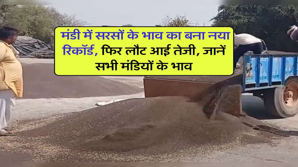 Sarso Bhav 21 October : मंडी में सरसों के भाव का बना नया रिकॉर्ड, फिर लौट आई तेजी, जानें सभी मंडियों के भाव