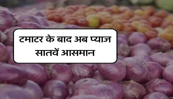 Onion Rate Hike : टमाटर के बाद अब प्याज सातवें आसमान, जानिए मंडी में क्या चल रहा है भाव