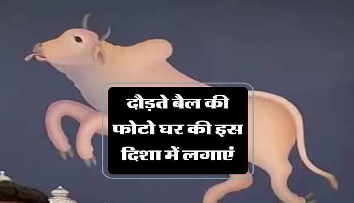 Vastu Painting For Home: दौड़ते बैल की फोटो घर की इस दिशा में लगाएं, जड़ से खत्म हो जाएगा आर्थिक संकट