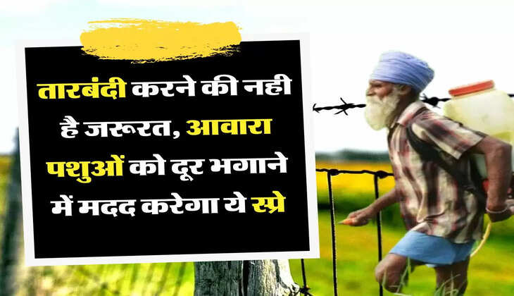 Stray Animals: किसानों को खेत के बाहर तारबंदी करने की नही है जरूरत, आवारा पशुओं को दूर भगाने में मदद करेगा ये स्प्रे
