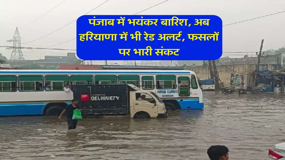 पंजाब में भयंकर बारिश, अब हरियाणा में भी रेड अलर्ट, फसलों पर भारी संकट