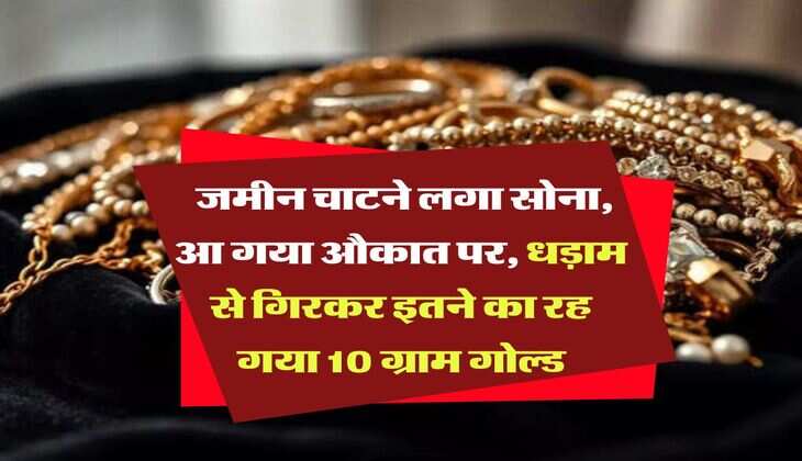 Gold Rate : जमीन चाटने लगा सोना, आ गया औकात पर, धड़ाम से गिरकर इतने का रह गया 10 ग्राम गोल्ड