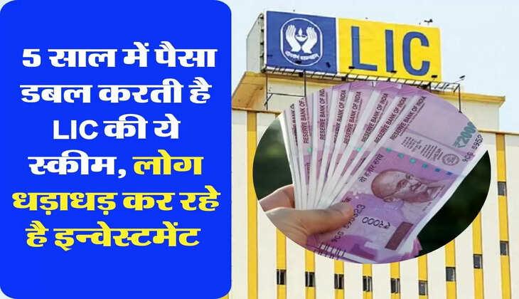 LIC Schemes : 5 साल में पैसा डबल करती है LIC की ये स्कीम, लोग धड़ाधड़ कर रहे है इन्वेस्टमेंट 