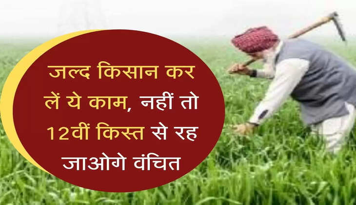 जल्द किसान कर लें ये काम, नहीं तो 12वीं किस्त से रह जाओगे वंचित