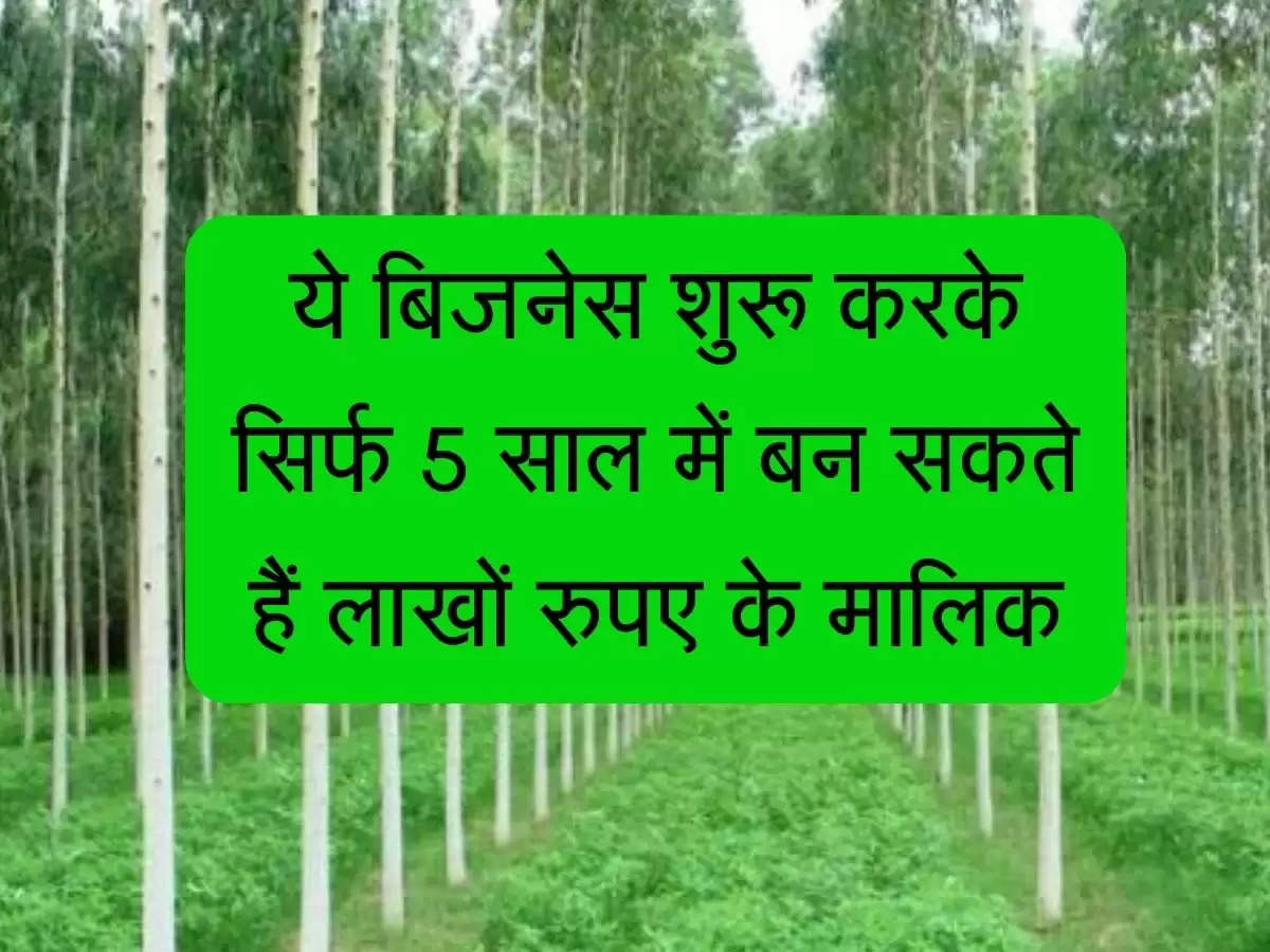 Business Nes : ये बिजनेस शुरू करके सिर्फ 5 साल में बन सकते हैं लाखों रुपए के मालिक, जानिए कैसे होगा मुनाफा