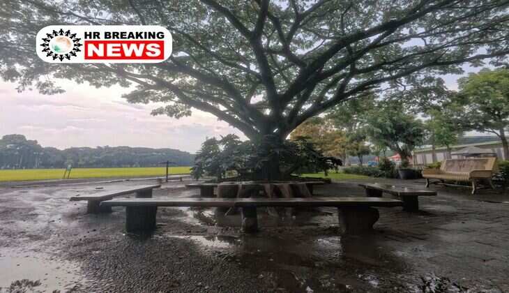 IMD Weather Alert : प्रदेश में पलटेगा वेदर, आंधी तुफान के साथ होगी झमाझम बारिश