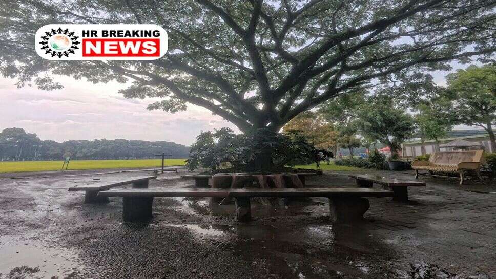 IMD Weather Alert : प्रदेश में पलटेगा वेदर, आंधी तुफान के साथ होगी झमाझम बारिश
