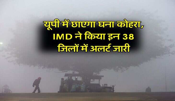 UP Weather :&nbsp;यूपी में छाएगा घना कोहरा, IMD ने किया इन 38 जिलों में अलर्ट जारी