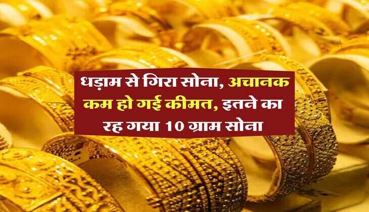 Gold Rate Down : धड़ाम से गिरा सोना, अचानक कम हो गई कीमत, इतने का रह गया 10 ग्राम सोना