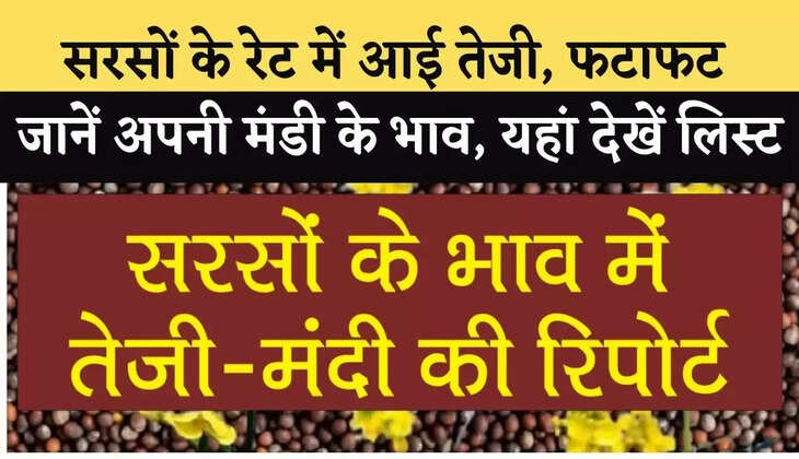 Aaj Ka Sarso ka Mandi bhav