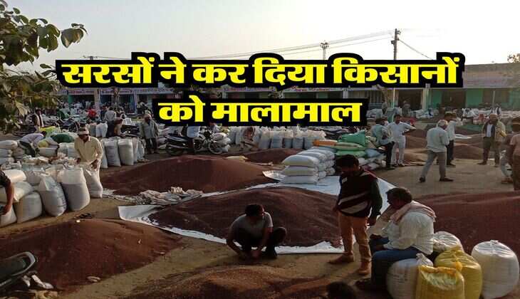 Sarson Mandi Bhav : सरसों ने कर दिया किसानों को मालामाल, सातवें आसमान में पहुंचे भाव
