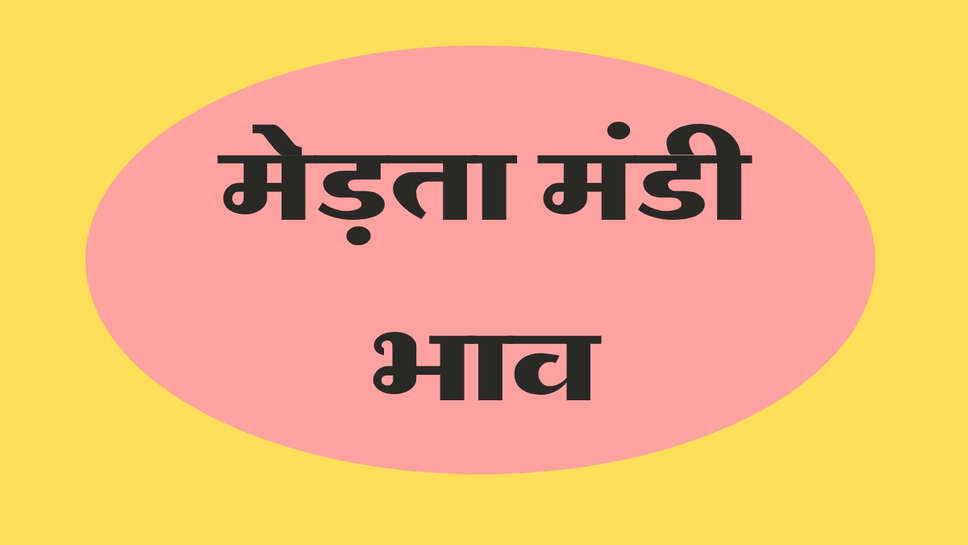 मेड़ता मंडी भाव 20 अक्टूबर 2026: ईसबगोल में 1000 रुपए की तेजी, तारामीरा में 50 रुपए उछाल, असालिया में मंदी