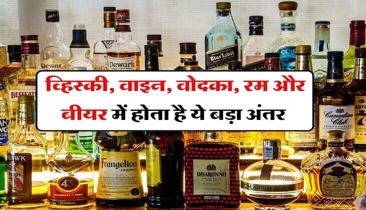 Liquor : व्हिस्&zwj;की, वाइन, वोदका, रम और बीयर में होता है ये बड़ा अंतर, जानिये कौन सी करती है सबसे ज्यादा असर