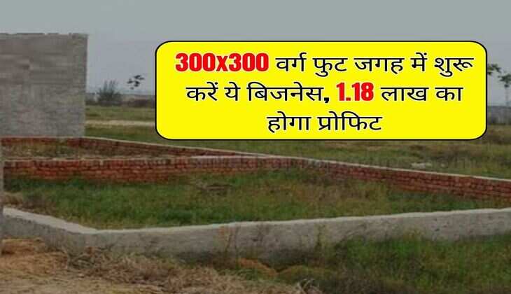 Business Idea: 300x300 वर्ग फुट जगह में शुरू करें ये बिजनेस, 1.18 लाख का होगा प्रोफिट