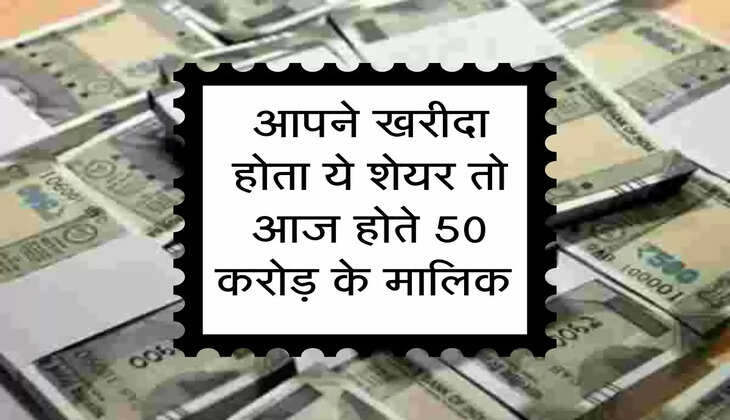 Share Market : आपने खरीदा होता ये शेयर तो आज होते 50 करोड़ के मालिक 