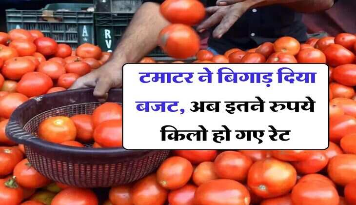  tomato price hike : टमाटर ने बिगाड़ दिया बजट, अब इतने रुपये किलो हो गए रेट
