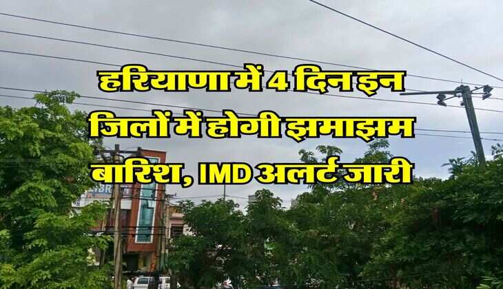 Haryana Weather Update : हरियाणा में 4 दिन इन जिलों में होगी झमाझम बारिश, IMD अलर्ट जारी